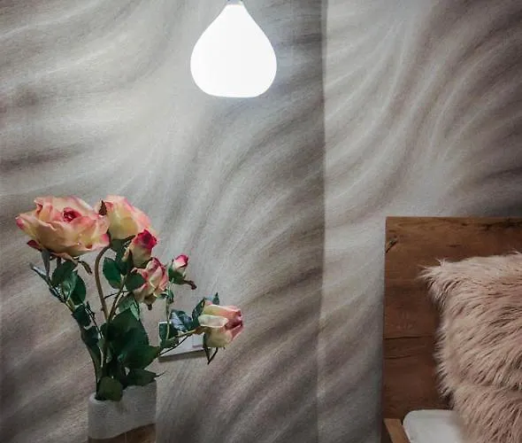 Hotel de apartamente Bengt Dohany Str. Budapesta